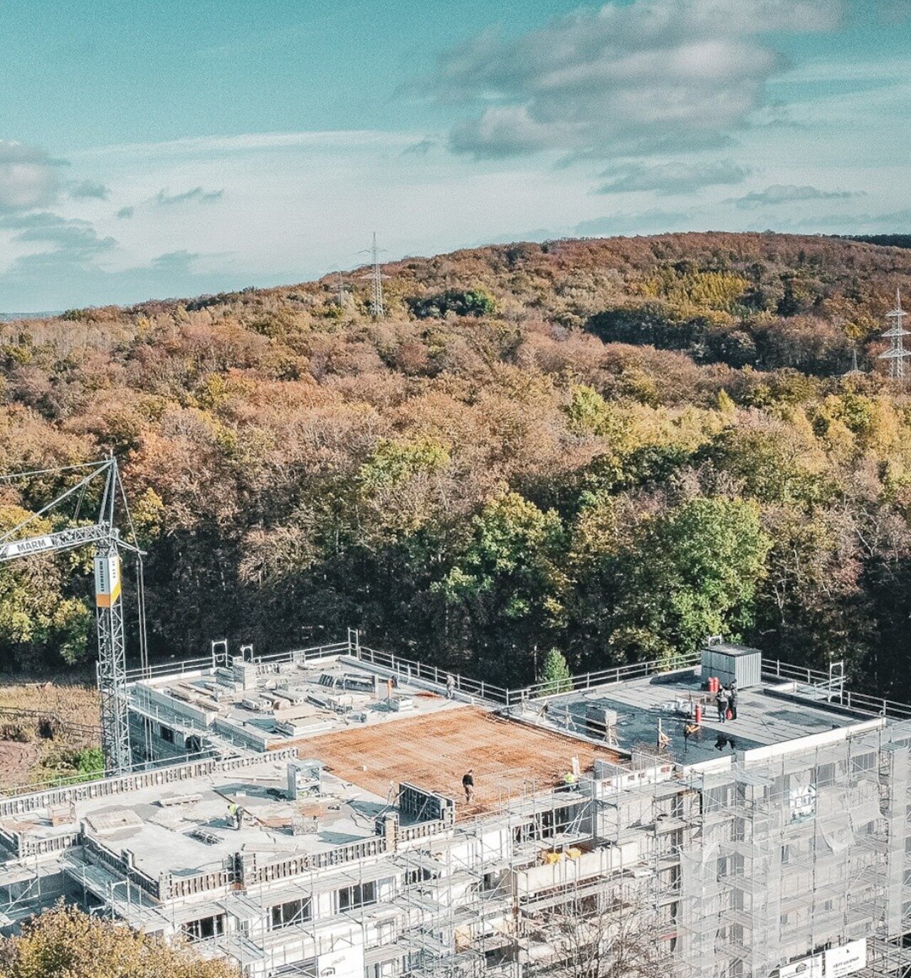 "Grüner Garten" in Osnabrück entwickelt sich zu einem wahren Schmuckstück Image 2