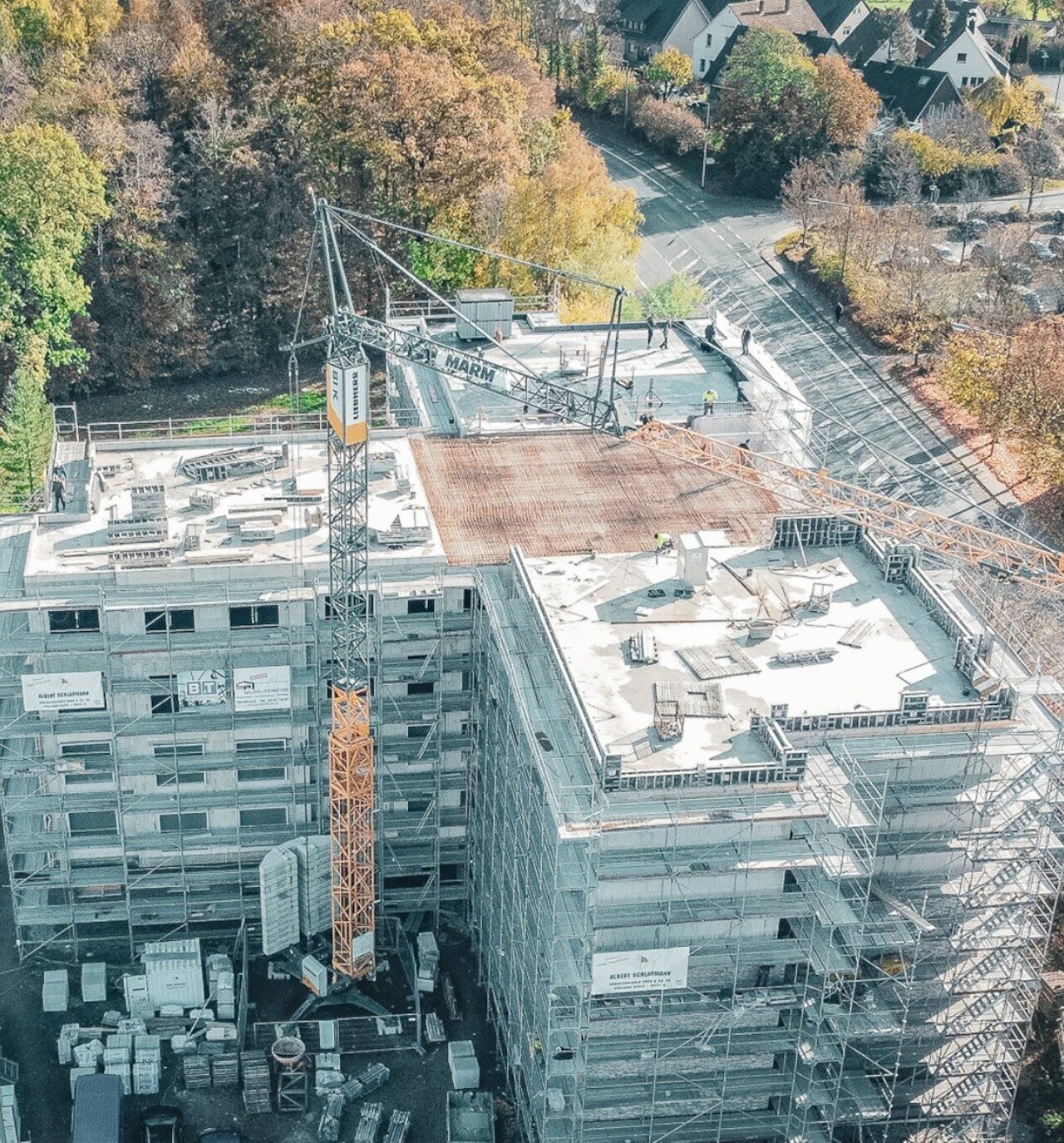 "Grüner Garten" in Osnabrück entwickelt sich zu einem wahren Schmuckstück Image 5