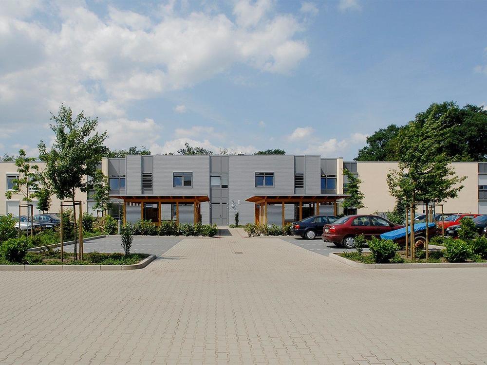 Entry 11 Image 2