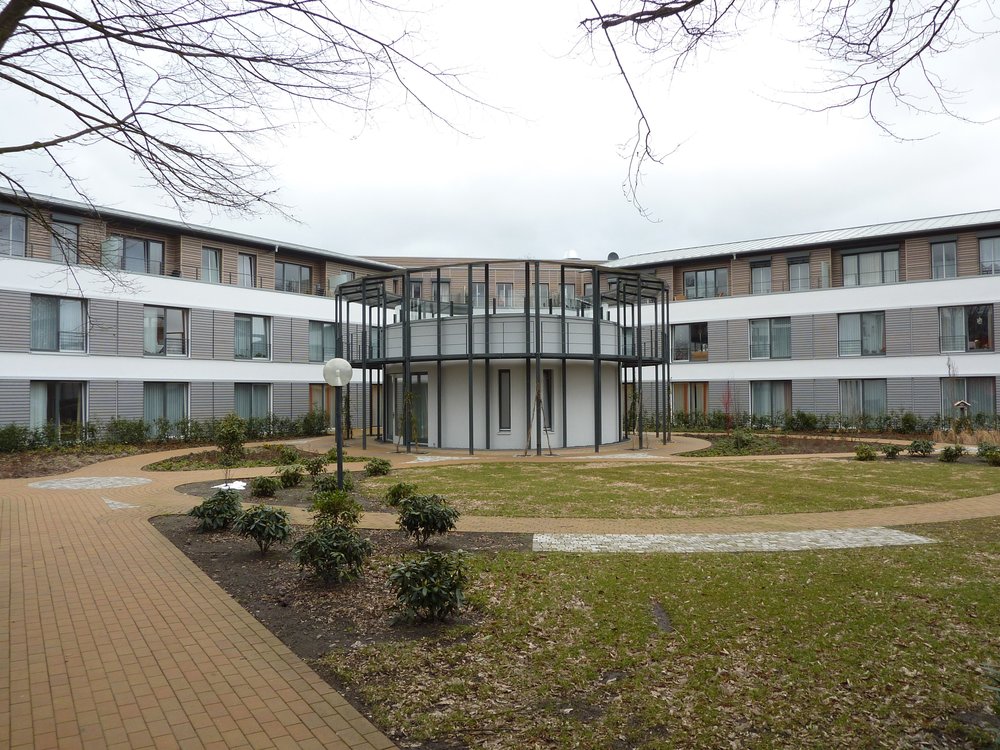 Entry 41 Image 7